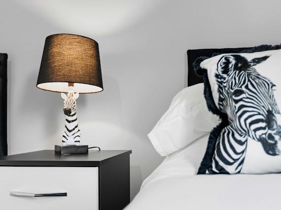 Styling detail, zebra print lamp and monochrome cushion